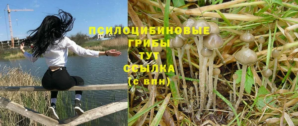 бутират Медногорск