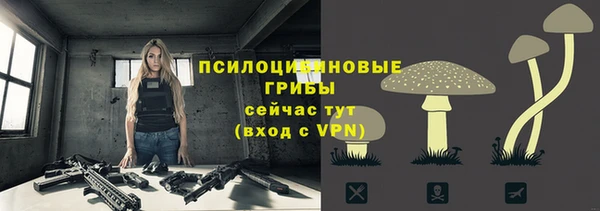 герыч Мегион