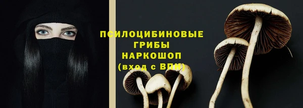 ешки Баксан