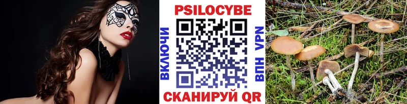 Галлюциногенные грибы мицелий Билибино
